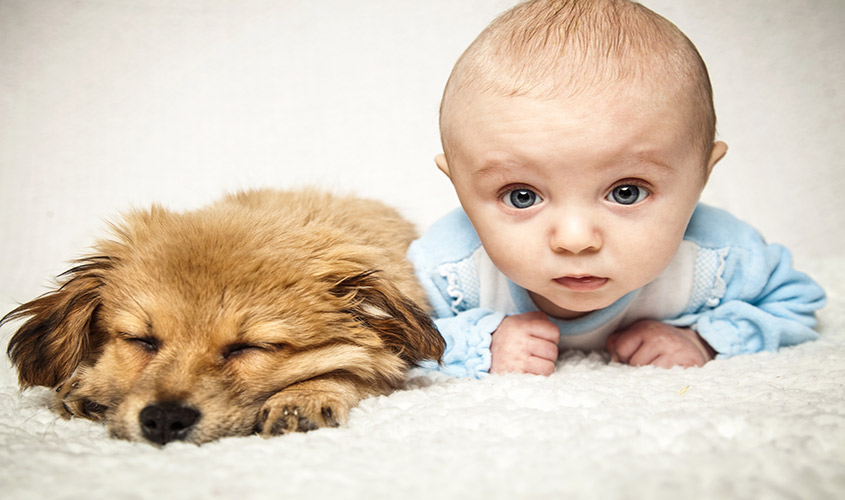 Chien et bébé : les bienfaits des chiens sur nos bébés