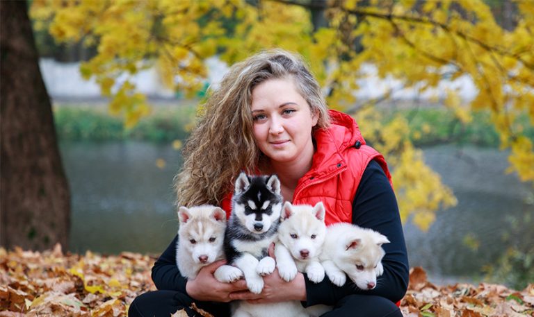 Comment devenir éleveur de chien - Conditions pour être éleveur canin ...