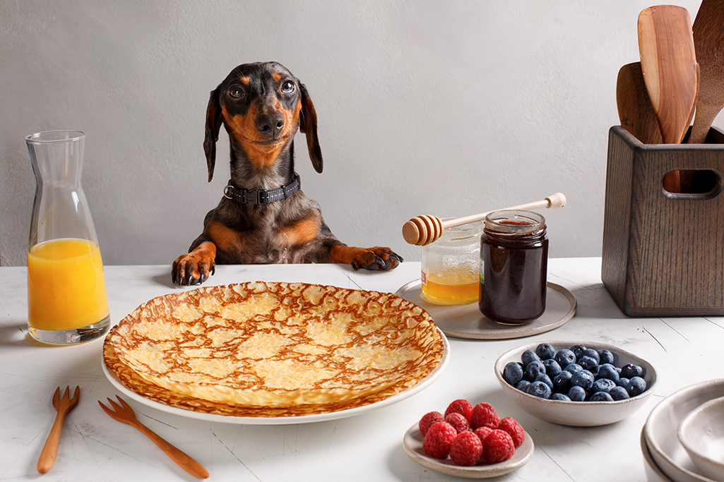 est-ce que je peux donner des crêpes à mon chien