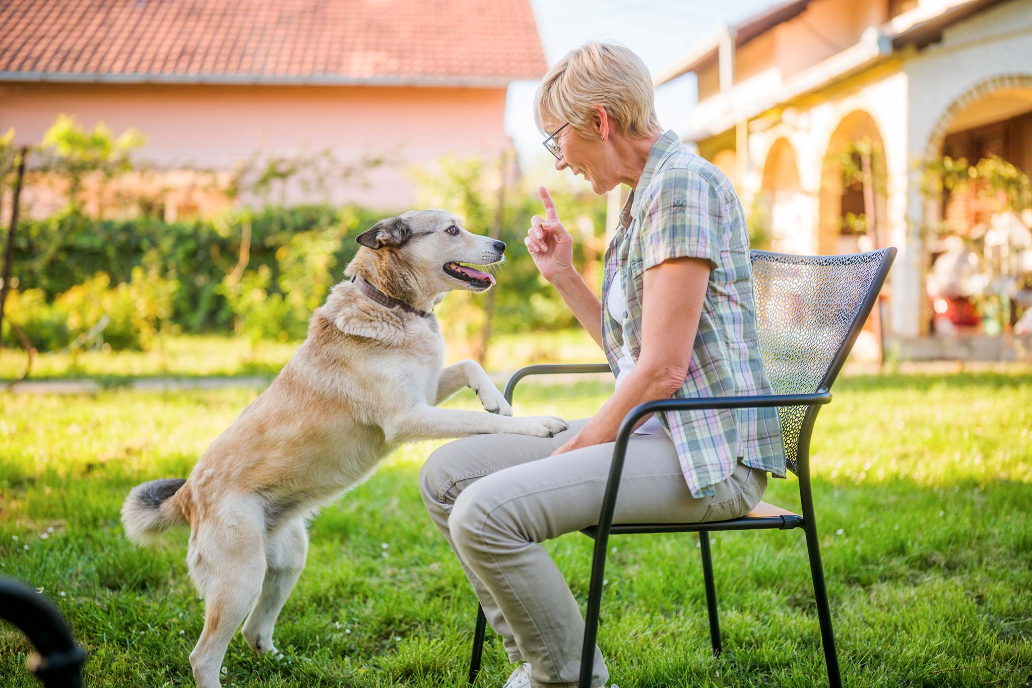 un chien qui mange les crottes d'un chat