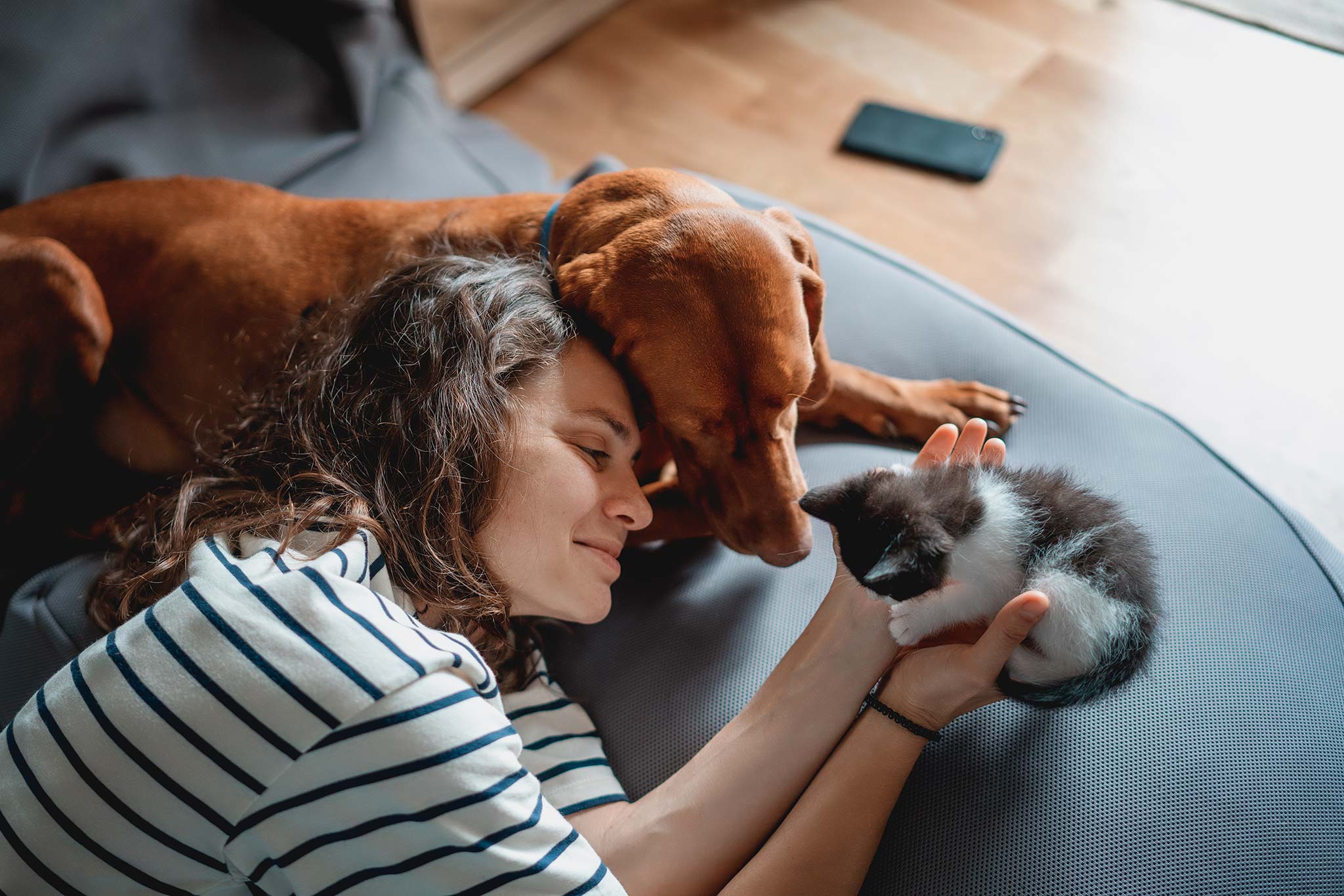 la journée mondiale des animaux