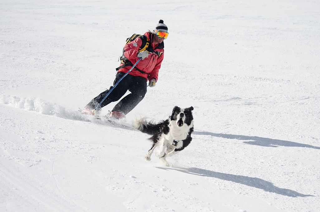 partir au ski avec son chien